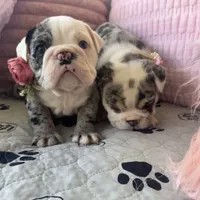 processed/1325876f-433d-425b-9f93-70b0fe6f058b/facility/0a910515-9db8-491e-aab3-ce852d1180e5