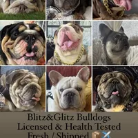 processed/1325876f-433d-425b-9f93-70b0fe6f058b/facility/222a0aa0-69bb-4010-a477-6d678c2253e6