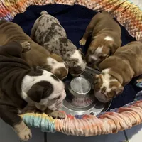 processed/1325876f-433d-425b-9f93-70b0fe6f058b/facility/2bd6c098-fa2d-47f6-b113-b36cae157bd5