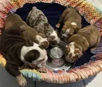 processed/1325876f-433d-425b-9f93-70b0fe6f058b/facility/2bd6c098-fa2d-47f6-b113-b36cae157bd5