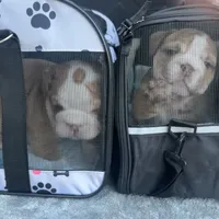 processed/1325876f-433d-425b-9f93-70b0fe6f058b/facility/363e3756-9d49-4144-acc9-1f7703edacaf