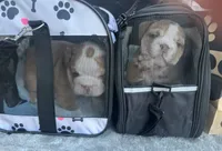 processed/1325876f-433d-425b-9f93-70b0fe6f058b/facility/363e3756-9d49-4144-acc9-1f7703edacaf