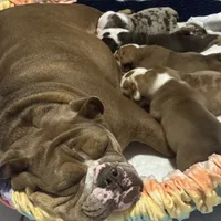 processed/1325876f-433d-425b-9f93-70b0fe6f058b/facility/476b17db-3266-4861-8805-22de902b27a0