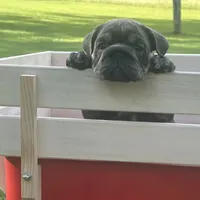 processed/1325876f-433d-425b-9f93-70b0fe6f058b/facility/8075b9b9-6630-4901-995b-665dfa297d3f