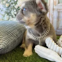 processed/1325876f-433d-425b-9f93-70b0fe6f058b/facility/b7dff409-2290-483b-a553-6b1d4faacb9d