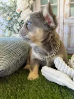 processed/1325876f-433d-425b-9f93-70b0fe6f058b/facility/b7dff409-2290-483b-a553-6b1d4faacb9d