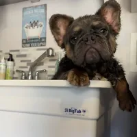 processed/1325876f-433d-425b-9f93-70b0fe6f058b/facility/c5fafb63-11d6-4777-9ed0-8f8380a13dc8