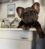 processed/1325876f-433d-425b-9f93-70b0fe6f058b/facility/c5fafb63-11d6-4777-9ed0-8f8380a13dc8