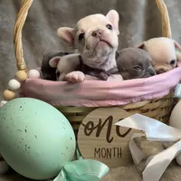 processed/1325876f-433d-425b-9f93-70b0fe6f058b/facility/c883186b-4b43-4fbe-a630-c1f37cf1eedc