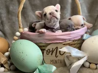 processed/1325876f-433d-425b-9f93-70b0fe6f058b/facility/c883186b-4b43-4fbe-a630-c1f37cf1eedc