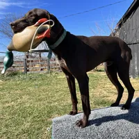 processed/1326e170-d7d4-40ef-bf8e-87dd41db5cc0/facility/0e783028-4ce0-4d28-a623-68056dcde092