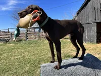 processed/1326e170-d7d4-40ef-bf8e-87dd41db5cc0/facility/0e783028-4ce0-4d28-a623-68056dcde092