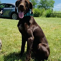 processed/1326e170-d7d4-40ef-bf8e-87dd41db5cc0/facility/3196eb9d-db9a-4739-a79d-dd52404feeb7