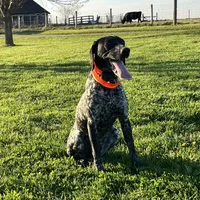 processed/1326e170-d7d4-40ef-bf8e-87dd41db5cc0/facility/aeda7e90-45c1-490c-9992-78ea72361793