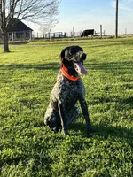 processed/1326e170-d7d4-40ef-bf8e-87dd41db5cc0/facility/aeda7e90-45c1-490c-9992-78ea72361793