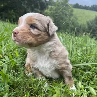 processed/133cf1a6-4d27-4c04-bd2d-70d3f837cc23/facility/066c3e13-b572-4600-af17-174629c0f505