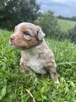 processed/133cf1a6-4d27-4c04-bd2d-70d3f837cc23/facility/066c3e13-b572-4600-af17-174629c0f505