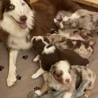 processed/133cf1a6-4d27-4c04-bd2d-70d3f837cc23/facility/61937b35-c3f2-4476-a3d5-53a49d42bef6