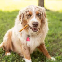 processed/133cf1a6-4d27-4c04-bd2d-70d3f837cc23/facility/675971a4-d5c2-4b32-a37c-4788eeedc7e8