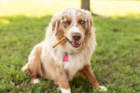 processed/133cf1a6-4d27-4c04-bd2d-70d3f837cc23/facility/675971a4-d5c2-4b32-a37c-4788eeedc7e8