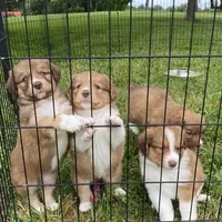 processed/133cf1a6-4d27-4c04-bd2d-70d3f837cc23/facility/938ebdee-7065-413c-9e86-7562c6c1e652