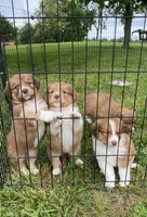 processed/133cf1a6-4d27-4c04-bd2d-70d3f837cc23/facility/938ebdee-7065-413c-9e86-7562c6c1e652