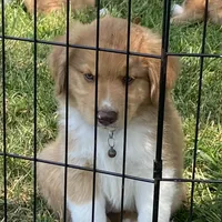 processed/133cf1a6-4d27-4c04-bd2d-70d3f837cc23/facility/94fde225-4e31-4976-8532-f21fead58f22