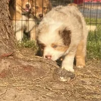 processed/133cf1a6-4d27-4c04-bd2d-70d3f837cc23/facility/e9ff07fb-8dc6-4b82-9857-0631d8303afb