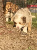 processed/133cf1a6-4d27-4c04-bd2d-70d3f837cc23/facility/e9ff07fb-8dc6-4b82-9857-0631d8303afb