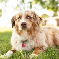 processed/133cf1a6-4d27-4c04-bd2d-70d3f837cc23/facility/f13aaa08-e8a0-4526-b353-daee26998651