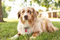 processed/133cf1a6-4d27-4c04-bd2d-70d3f837cc23/facility/f13aaa08-e8a0-4526-b353-daee26998651