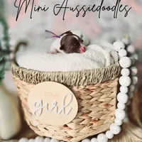 processed/1359d0c6-9e36-434a-a6be-056c10572152/facility/2a0e2de9-53dd-4b3e-afa7-65cb3df58abc