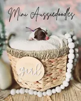 processed/1359d0c6-9e36-434a-a6be-056c10572152/facility/2a0e2de9-53dd-4b3e-afa7-65cb3df58abc