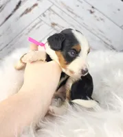 processed/1359d0c6-9e36-434a-a6be-056c10572152/listing/1d5d6e2e-d510-4999-9f01-1b3baeb7c056/1ebf6bf8-aab5-4e20-9b70-5410be690367