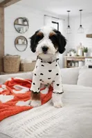 processed/1359d0c6-9e36-434a-a6be-056c10572152/listing/1d5d6e2e-d510-4999-9f01-1b3baeb7c056/2f5da440-271c-47b9-8c45-2fcad1c35a49