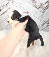 processed/1359d0c6-9e36-434a-a6be-056c10572152/listing/1d5d6e2e-d510-4999-9f01-1b3baeb7c056/59590778-5489-475f-8841-645a9da30c7f