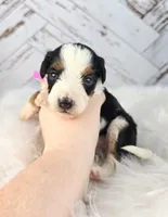 processed/1359d0c6-9e36-434a-a6be-056c10572152/listing/1d5d6e2e-d510-4999-9f01-1b3baeb7c056/d71996ad-4217-40fd-8ae1-60391da25f9f