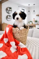 processed/1359d0c6-9e36-434a-a6be-056c10572152/listing/1d5d6e2e-d510-4999-9f01-1b3baeb7c056/fd1edd6c-6afd-49ee-b423-1f185c959a02