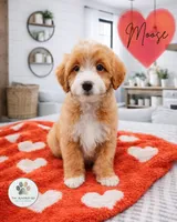 processed/1359d0c6-9e36-434a-a6be-056c10572152/listing/3fec24c4-39d2-488e-bafe-b420d806ee50/43cb7fba-4f26-4441-a957-42424a036869