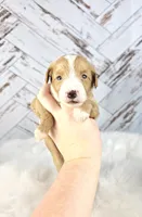 processed/1359d0c6-9e36-434a-a6be-056c10572152/listing/3fec24c4-39d2-488e-bafe-b420d806ee50/9ebb5b1d-951e-4d7e-bb32-0881f7a58fed