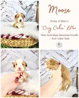 processed/1359d0c6-9e36-434a-a6be-056c10572152/listing/3fec24c4-39d2-488e-bafe-b420d806ee50/f68d7eb7-c151-49f4-8c60-8dafa8fa45ea