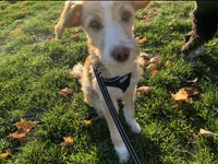 processed/1359d0c6-9e36-434a-a6be-056c10572152/listing/8694e404-e50b-44f5-8006-58e908a40a26/30b755d2-c332-443b-b1c2-2b0a701dd1f3