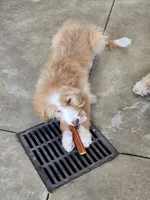 processed/1359d0c6-9e36-434a-a6be-056c10572152/listing/8694e404-e50b-44f5-8006-58e908a40a26/5d3949bb-72a1-40f5-824f-a3dd8345f112