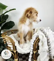 processed/1359d0c6-9e36-434a-a6be-056c10572152/listing/8694e404-e50b-44f5-8006-58e908a40a26/b4a42cc7-3d89-44f7-a35c-91707d07007a