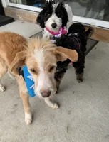 processed/1359d0c6-9e36-434a-a6be-056c10572152/listing/8694e404-e50b-44f5-8006-58e908a40a26/b7458eab-8627-472c-b5fb-f98cef8221a8