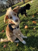 processed/1359d0c6-9e36-434a-a6be-056c10572152/listing/8694e404-e50b-44f5-8006-58e908a40a26/c2838390-c0dd-4795-8288-93ab9ebca938