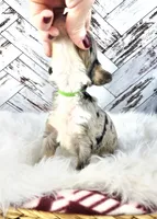 processed/1359d0c6-9e36-434a-a6be-056c10572152/listing/a30d8f54-ef2e-4a0b-9656-fd121a5fc0d6/9021ffb0-2859-4116-a7b7-72d9c8879222