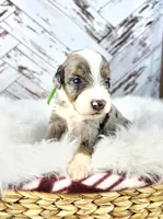 processed/1359d0c6-9e36-434a-a6be-056c10572152/listing/a30d8f54-ef2e-4a0b-9656-fd121a5fc0d6/a2064375-c523-4e54-a033-3658dd6b3b69