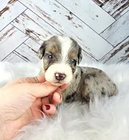 processed/1359d0c6-9e36-434a-a6be-056c10572152/listing/a30d8f54-ef2e-4a0b-9656-fd121a5fc0d6/e72e8280-2d76-4044-9c33-80907544377c