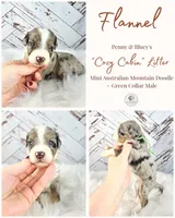 processed/1359d0c6-9e36-434a-a6be-056c10572152/listing/a30d8f54-ef2e-4a0b-9656-fd121a5fc0d6/ffc84329-0470-4ee1-9751-2d799195d168